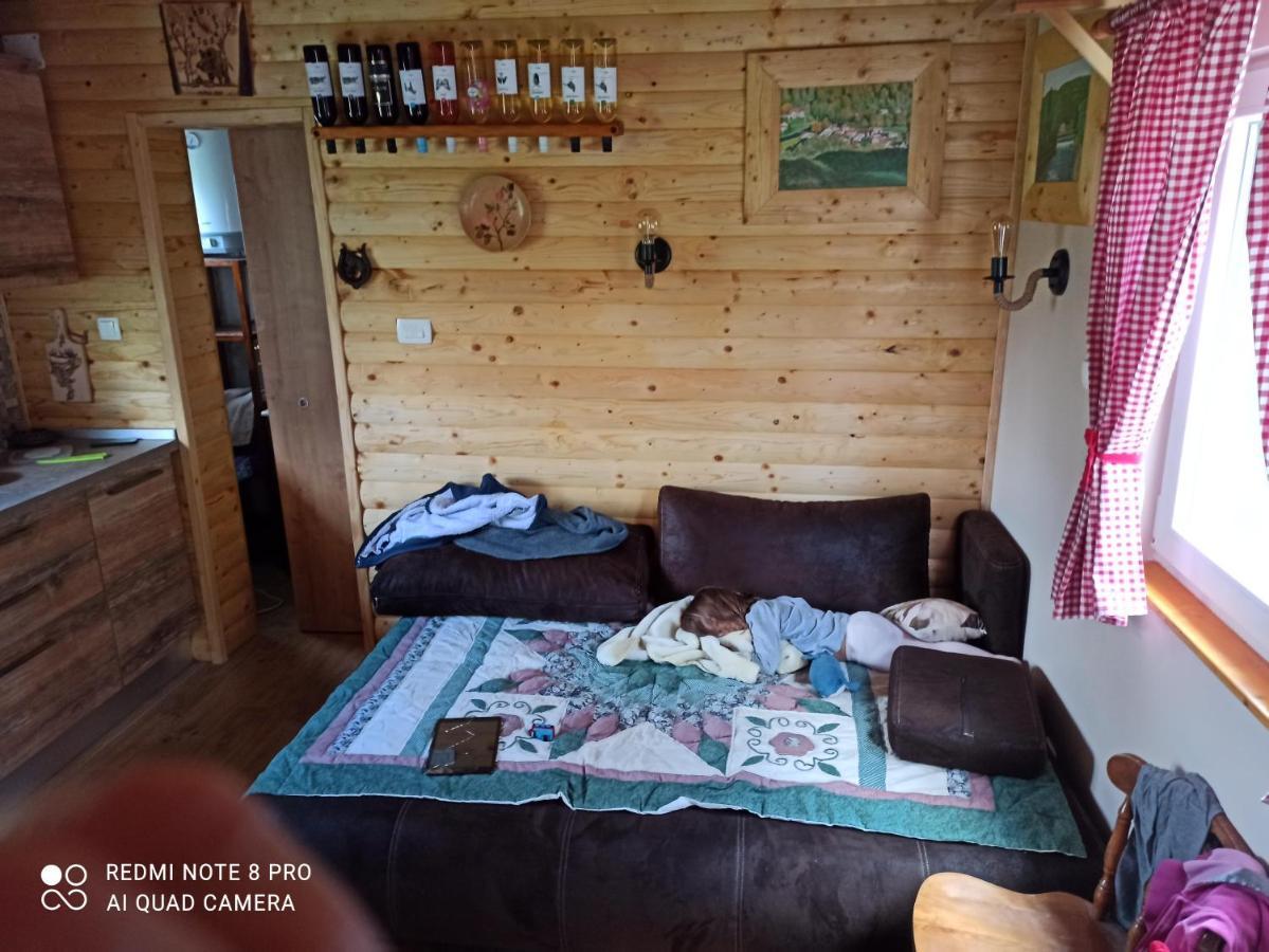 Green House Rijeka Zewnętrze zdjęcie