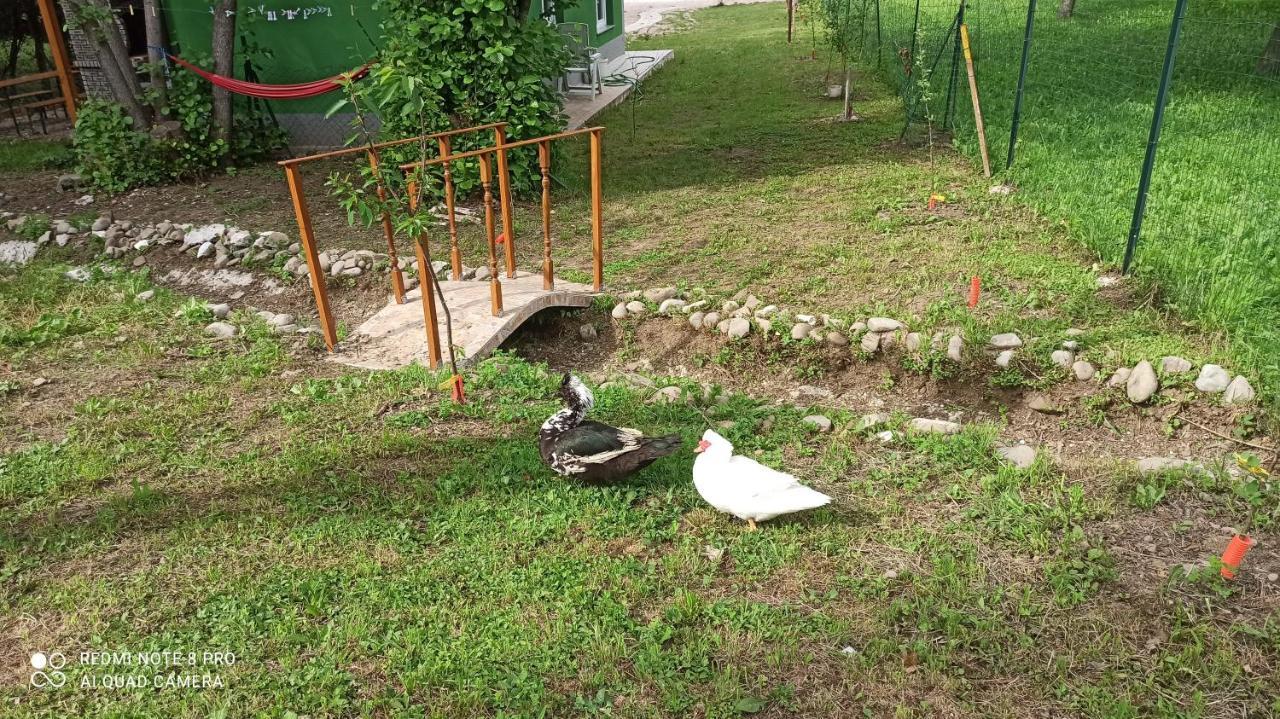 Green House Rijeka Zewnętrze zdjęcie