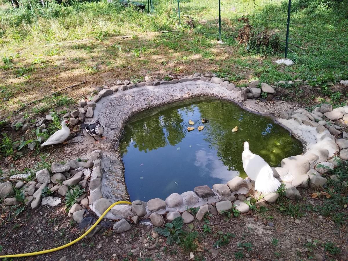 Green House Rijeka Zewnętrze zdjęcie